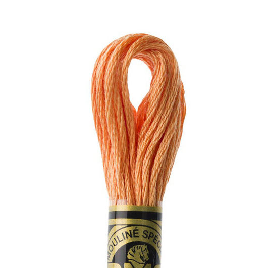 DMC Floss Color 402 Very Light Mahogany