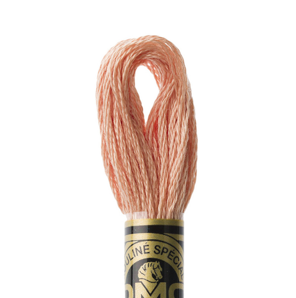 DMC Floss Color 3771 Ultra Very Light Terra Cotta