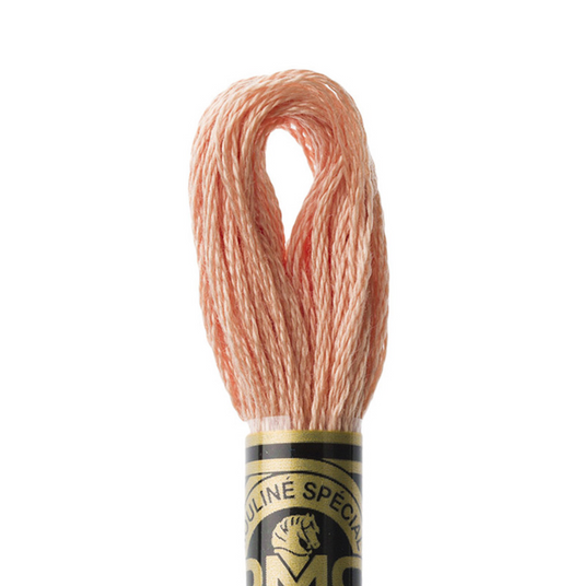 DMC Floss Color 3771 Ultra Very Light Terra Cotta