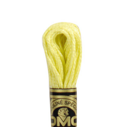 DMC Floss Color 11 Light Tender Green