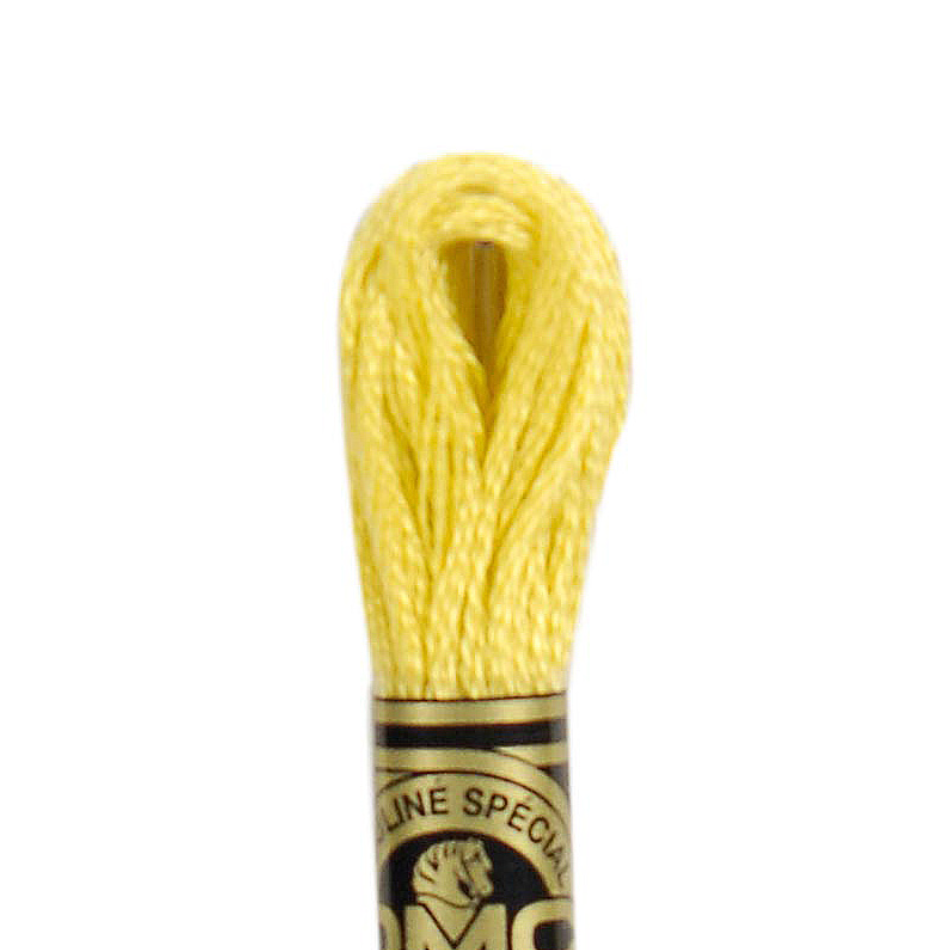 DMC Floss Color 17 Light Yellow Plum