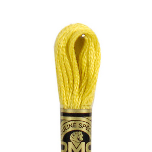 DMC Floss Color 18 Yellow Plum