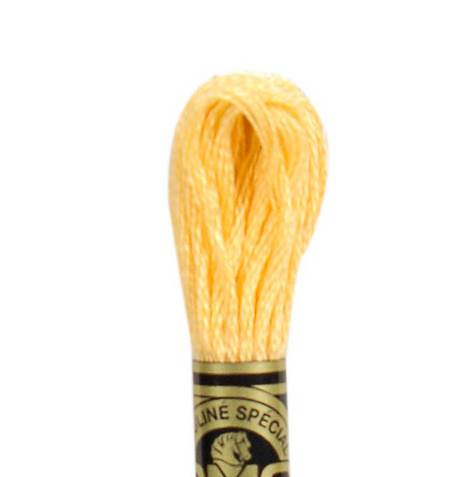 DMC Floss Color 19 Medium Light Autumn Gold