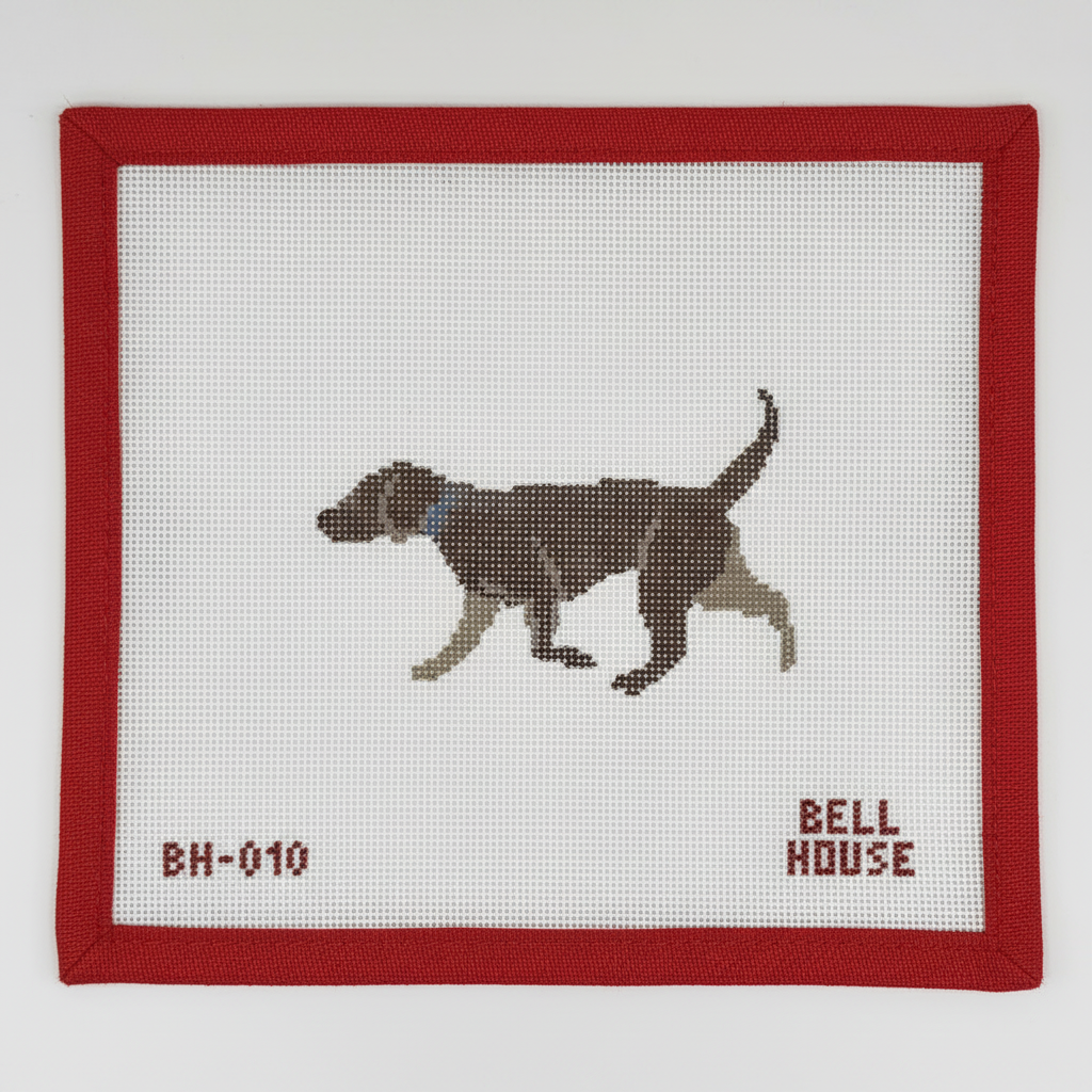 Chocolate Lab