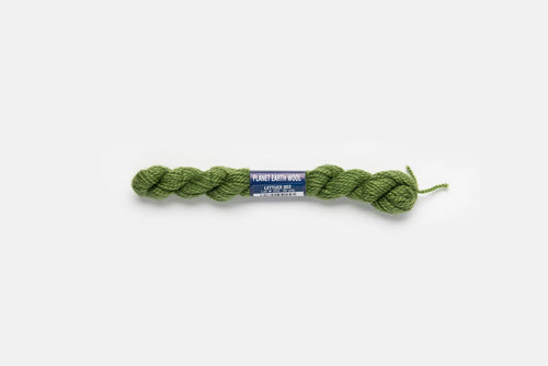 Planet Earth Wool - Lettuce