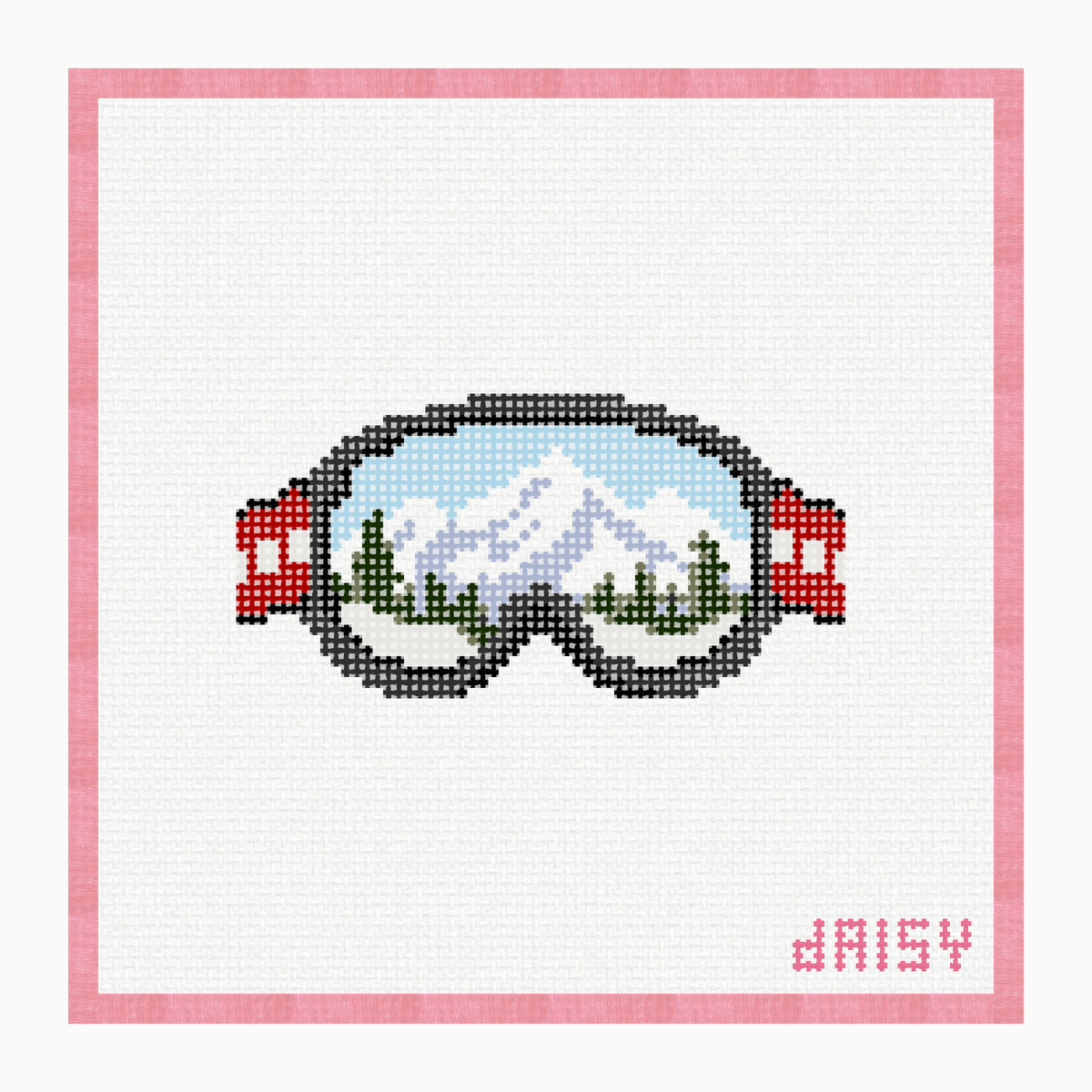 Ski Goggles